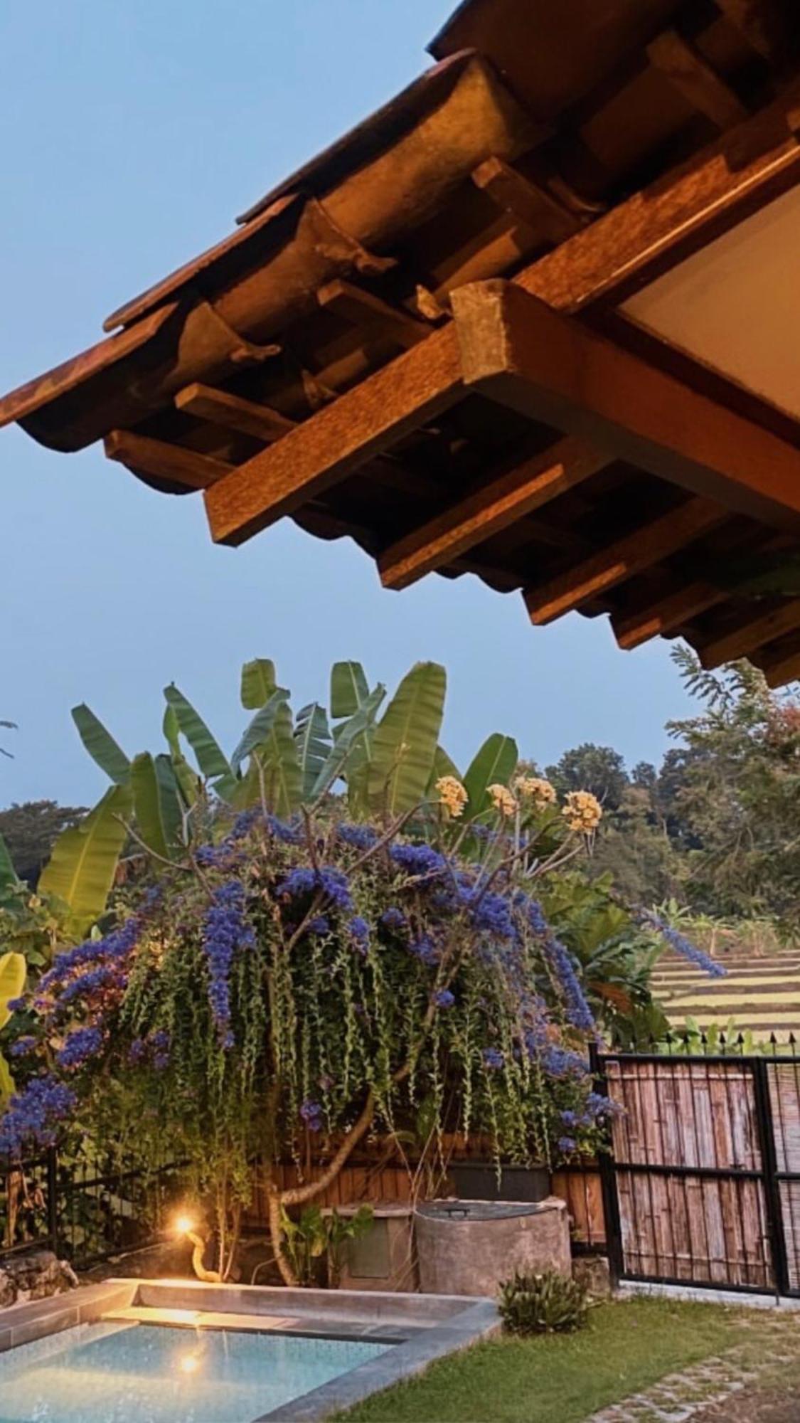 Villa Nextdoor Nature Yogyakarta Bantul Exterior photo