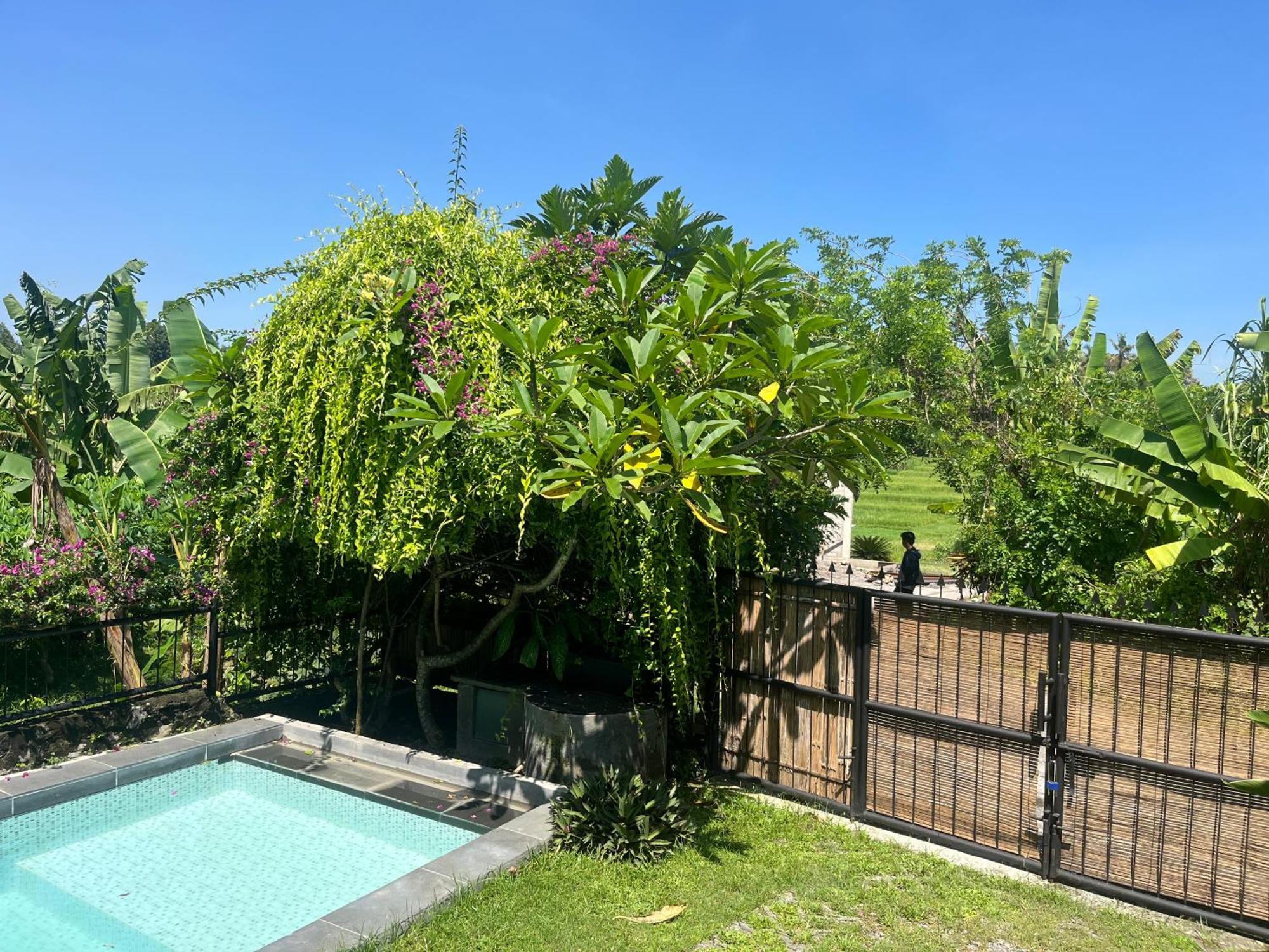Villa Nextdoor Nature Yogyakarta Bantul Exterior photo